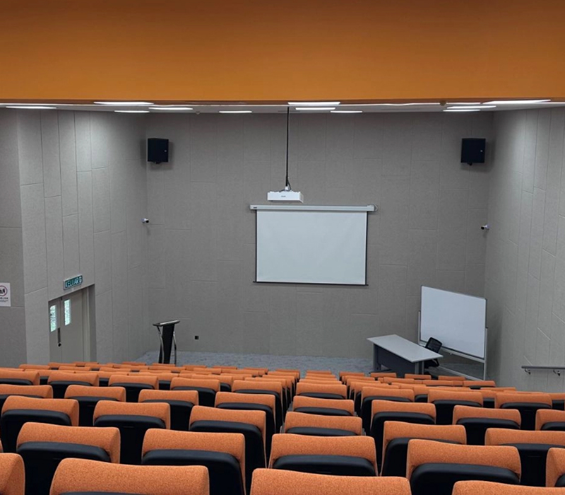 Southern University College