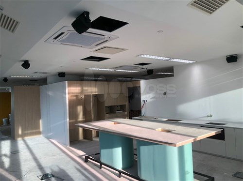 Ceiling & Wall Type Speaker