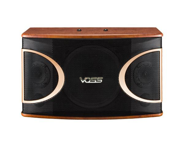 MK-210 Karaoke Speaker