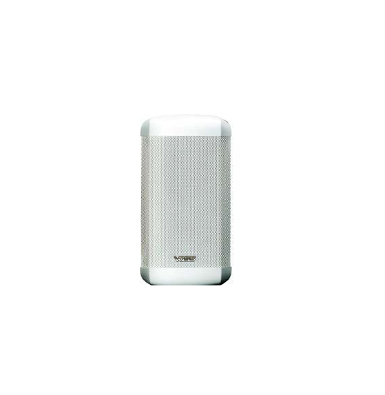 Commercial Speaker