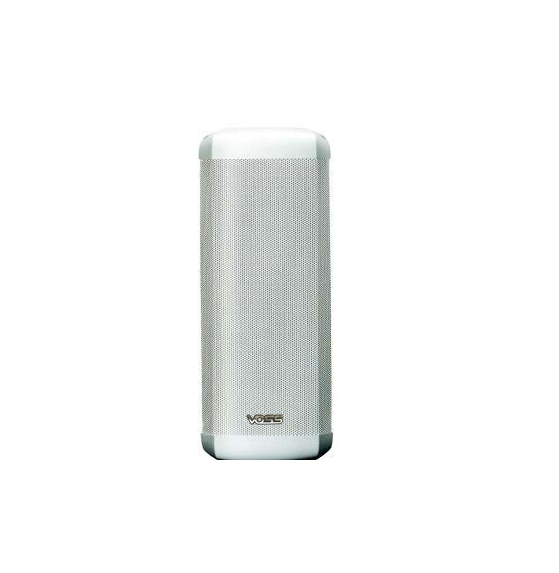 Commercial Speaker