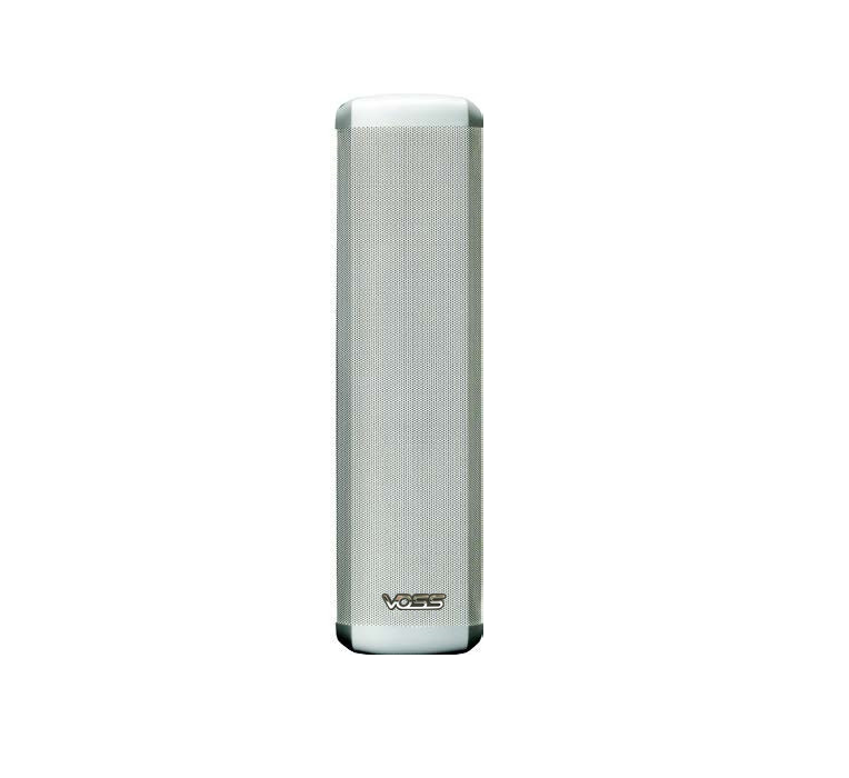 Commercial Speaker