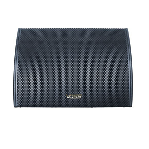 VOSS AUDIO FS-12 PASSIVE MONITER SPEAKER