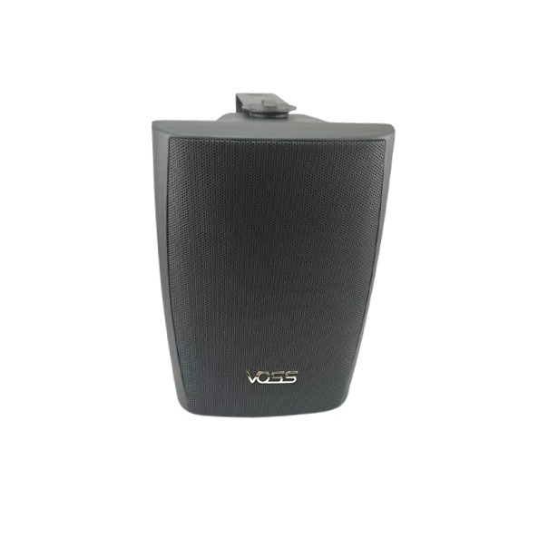 Wall Fitted Speaker