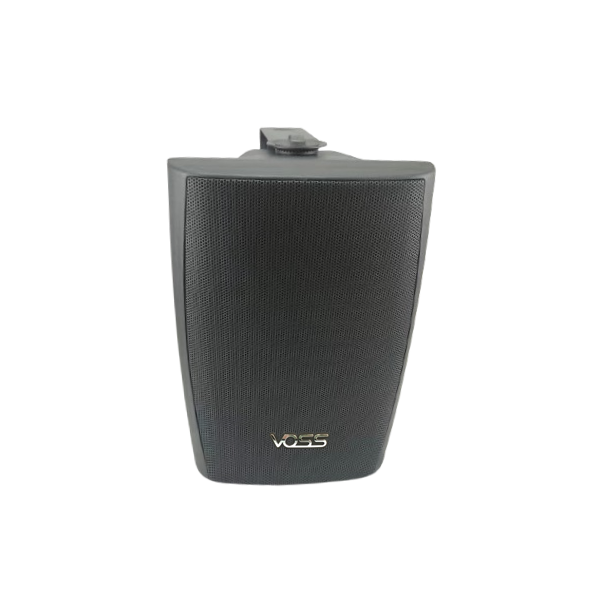 Wall Fitted Speaker