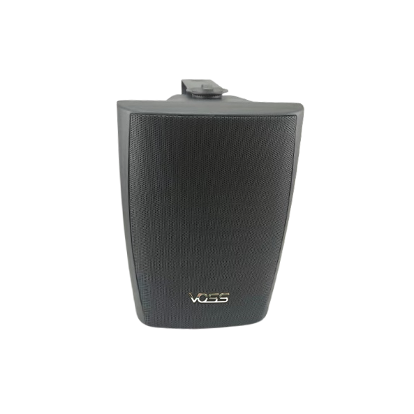 Wall Fitted Speaker