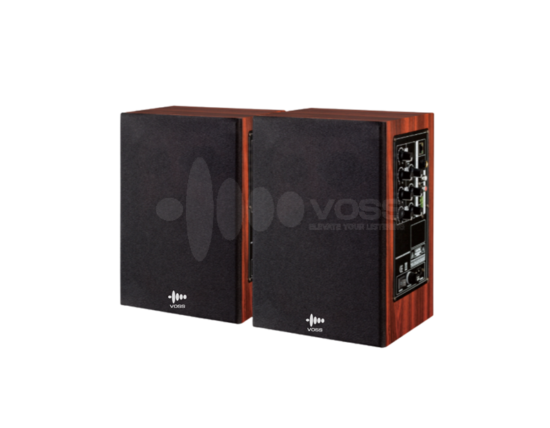 VOSS AUDIO IP Network Powered Speaker DI-9723